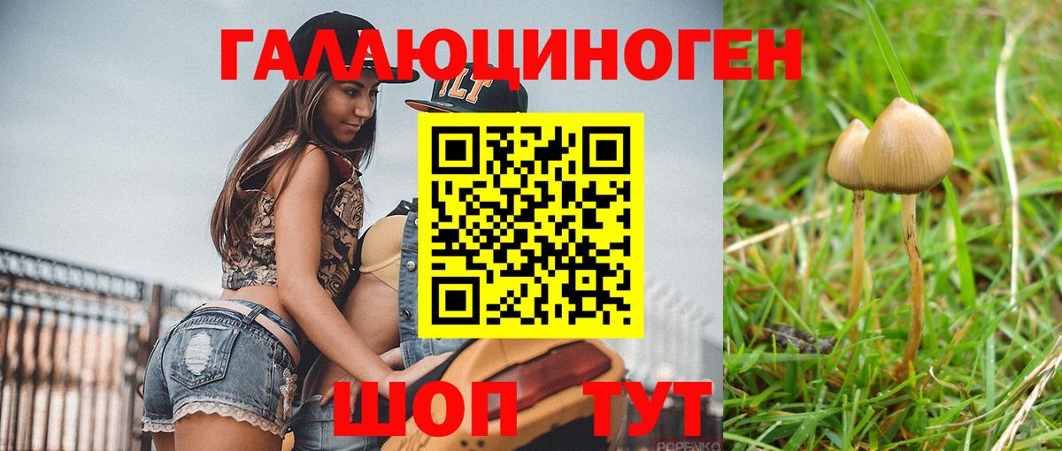 хочу   Вход с VPN  Клинцы  Псилоцибиновые грибы MAGIC MUSHROOMS  Галлюциногенные грибы Psilocybe 